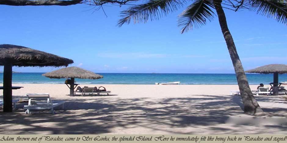 Secret Escape Nilaveli Ayurveda Hotel & Spa Εξωτερικό φωτογραφία